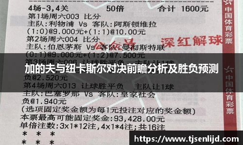 加的夫与纽卡斯尔对决前瞻分析及胜负预测